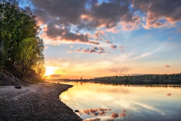 Paisaje de la tarde en el banco del río