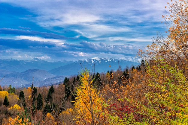 Paisaje de la tarde de las montañas en octubre