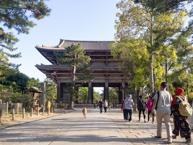 Paisaje del templo Todai-ji en Nara, Japón.