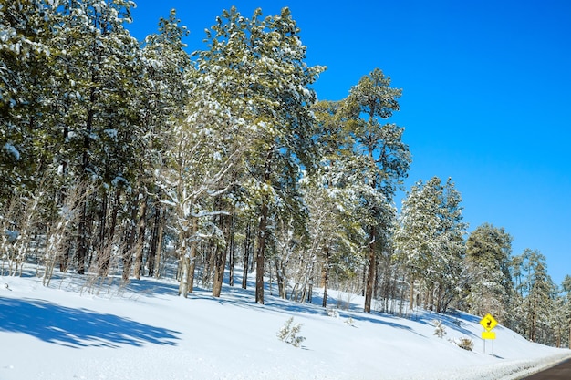 Paisaje temporada de invierno montañas árboles cubiertos de nieve en arizona