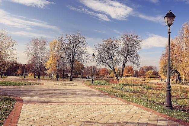 paisaje de la temporada de otoño en el parque, vista del fondo del callejón de árboles amarillos