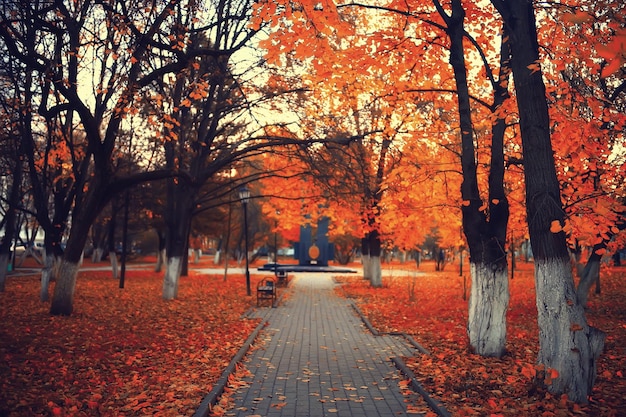 paisaje de la temporada de otoño en el parque, vista del fondo del callejón de árboles amarillos