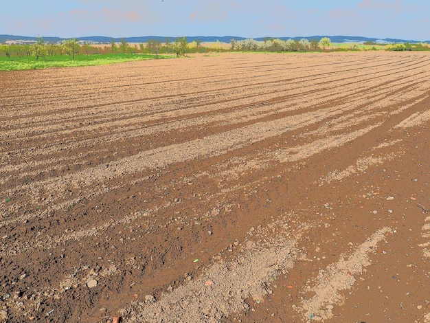 Paisaje con tierras agrícolas aradas preparadas para la cosecha Paisaje agrícola tierra cultivable para cultivos temporales que se pueden arar y utilizar para cultivar Serbia Sremska Mitrovica Fruska gora