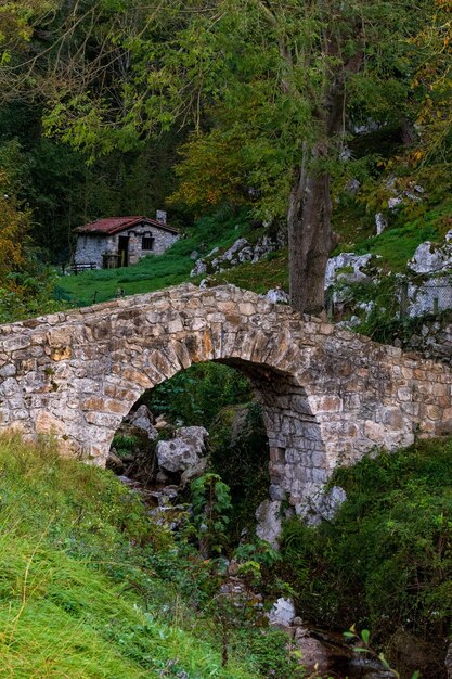 Paisaje típico de Asturias Stock Photo