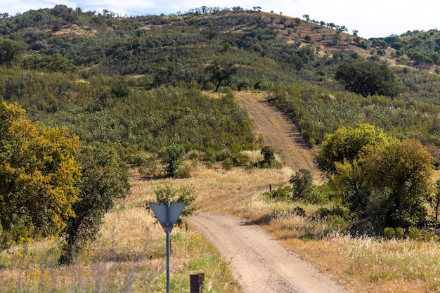 Paisaje típico del campo del interior de la región del Algarve con plantas de cistus ladanifer y camino de tierra