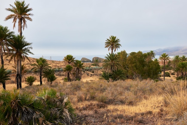 Un paisaje típico del desierto de Almería, España