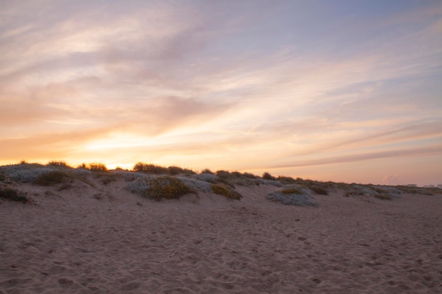 Paisaje típico de las dunas en el Mediterráneo