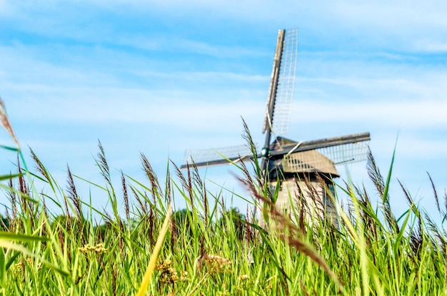 Paisaje típico holandés en Alkmaar, Países Bajos