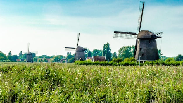 Paisaje típico holandés en Alkmaar, Países Bajos