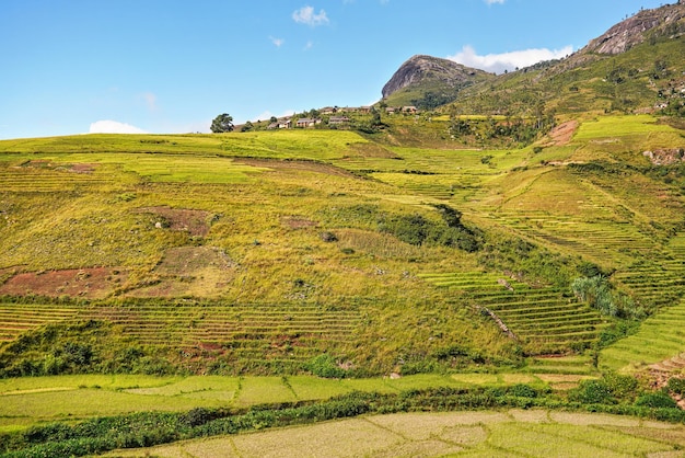 Paisaje típico de Madagascar: campos de terrazas de arroz verde y amarillo en pequeñas colinas con casas de arcilla en la región de Andringitra, cerca de Sendrisoa.