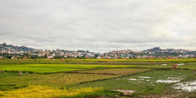 Paisaje típico de Madagascar en un día nublado nublado - gente que trabaja en campos de arroz húmedos en primer plano, casas en pequeñas colinas del suburbio de Antananarivo