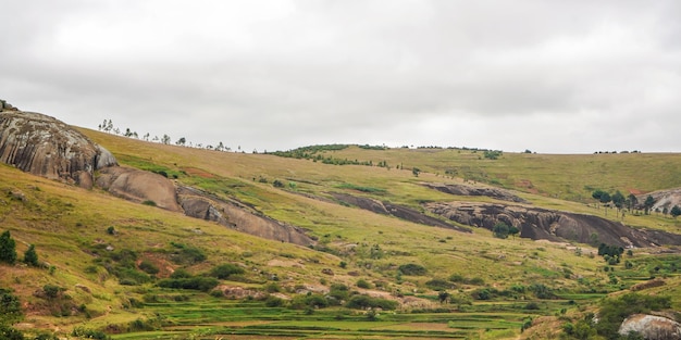 Paisaje típico de Madagascar en la región cerca de Farariana en días nublados. Tierra de hierba más bien plana, solo unos pocos árboles, con algunas rocas y colinas, campos de arroz en primer plano.