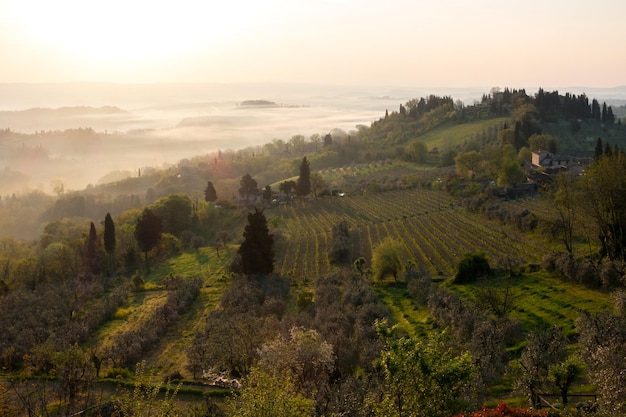 Paisaje típico de la Toscana