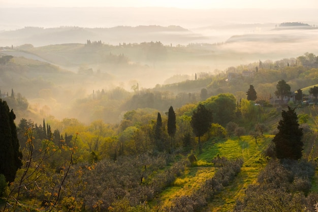 Paisaje típico de la Toscana