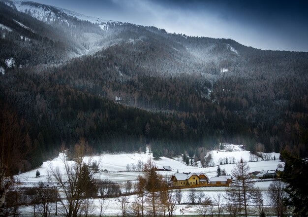 Paisaje de tormenta de nieve sobre los Alpes austríacos cultivados con bosque