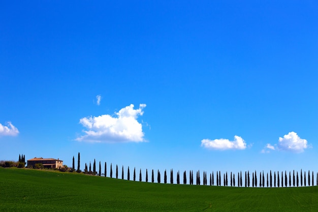 Paisaje de Toscana con casa antigua y cipreses en día soleado. provincia de Siena. Toscana, Italia