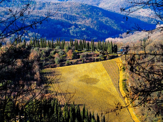 Foto paisaje de la toscana