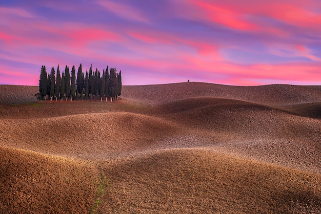 Paisaje toscano con cipreses