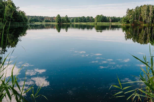 Paisaje tranquilo en un lago, con el cielo azul vibrante