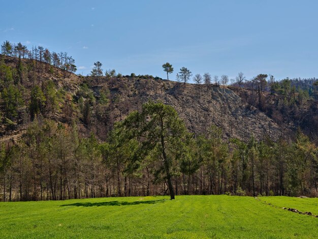 Paisaje tranquilo en un lugar rural.