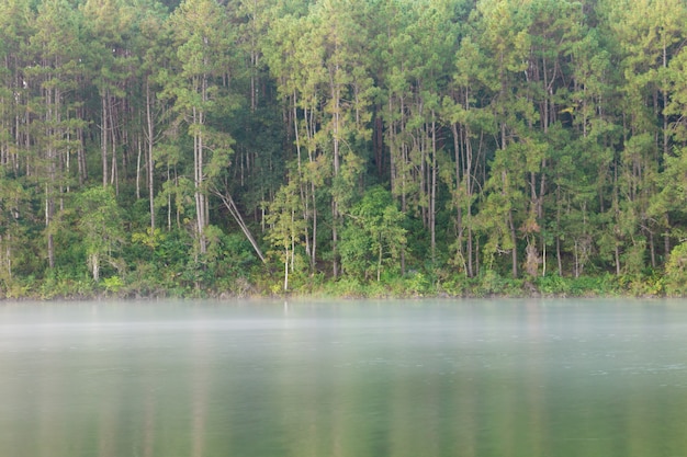 Paisaje tranquilo de la orilla del lago.