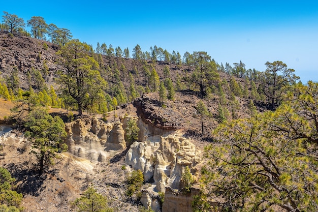 Paisaje del trekking por el bosque del Teide en la Isla de Tenerife