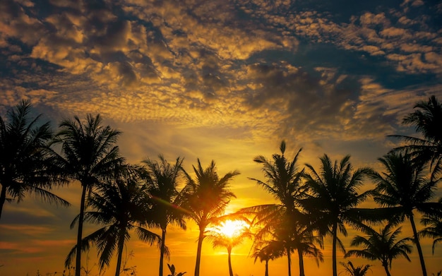 Paisaje tropical al atardecer con palmeras en silueta en la playa