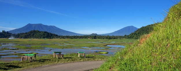 Paisaje tropical con arrozales y montañas.