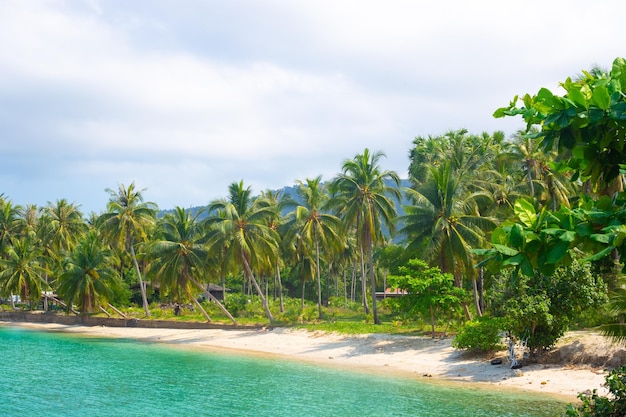 Paisaje tropical Costa del mar con palmeras a lo largo de la orilla Viajes y turismo