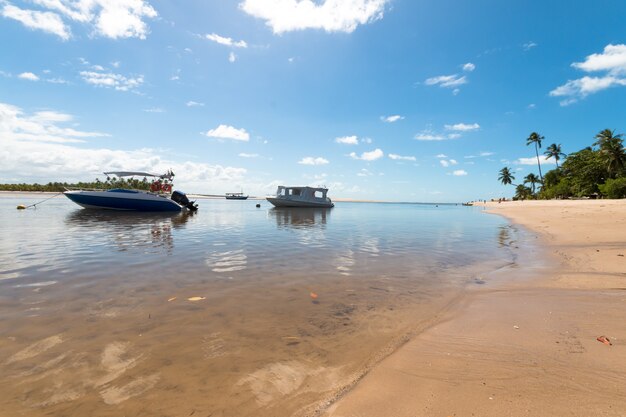 Paisaje tropical con playa con barcos en la isla de Boipeba Bahia Brasil.