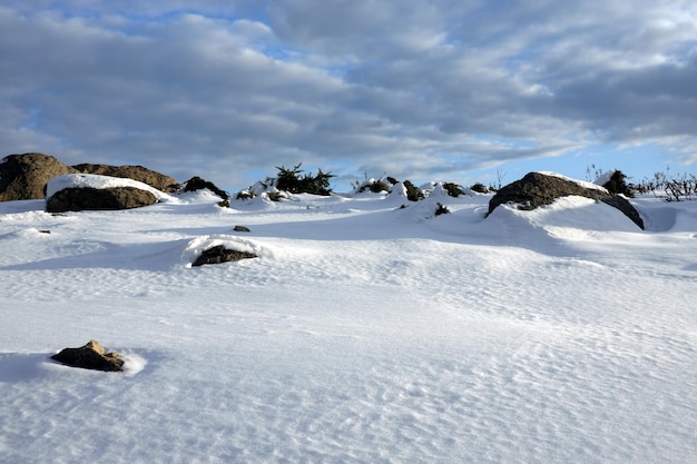 Paisaje de tundra de invierno con superficie montañosa nevada con piedras y grandes rocas y largas sombras