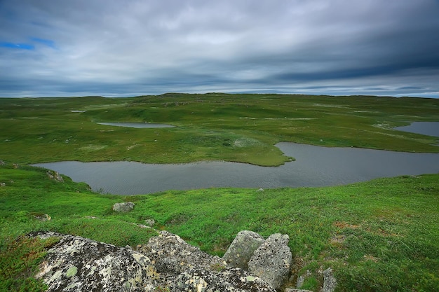 paisaje de tundra / paisaje de verano en la tundra norte, musgo, ecosistema