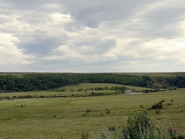 Paisaje de la tundra en verano La tundra de verano en el Yamal Pe