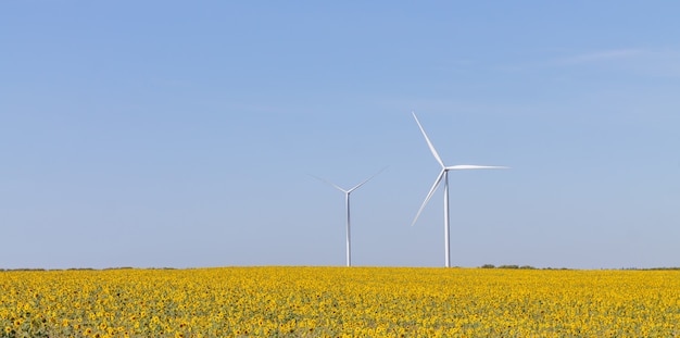 Paisaje de turbinas eólicas