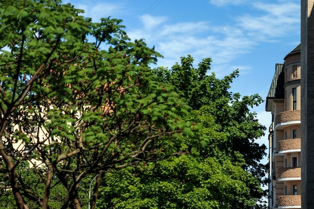 Paisaje urbano de Bangalore, India.