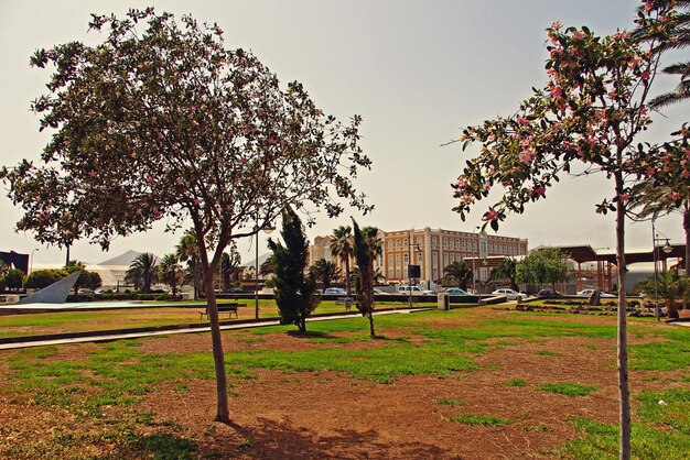 Paisaje urbano de la capital de las Islas Canarias, Lanzarote Arrecife, en España, en un cálido día de verano.