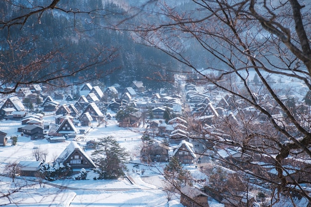Paisaje urbano cubierto de nieve visto a través de árboles desnudos