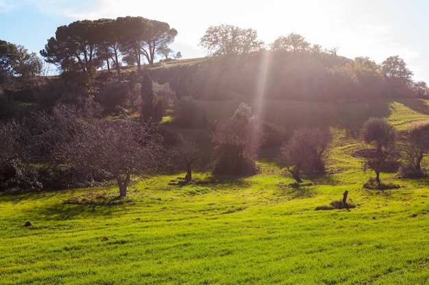 Paisaje de valle y campos en Morgantina