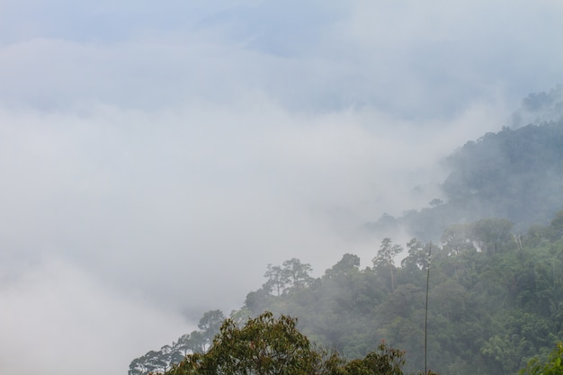 Paisaje del valle de la montaña de la niebla y la nube