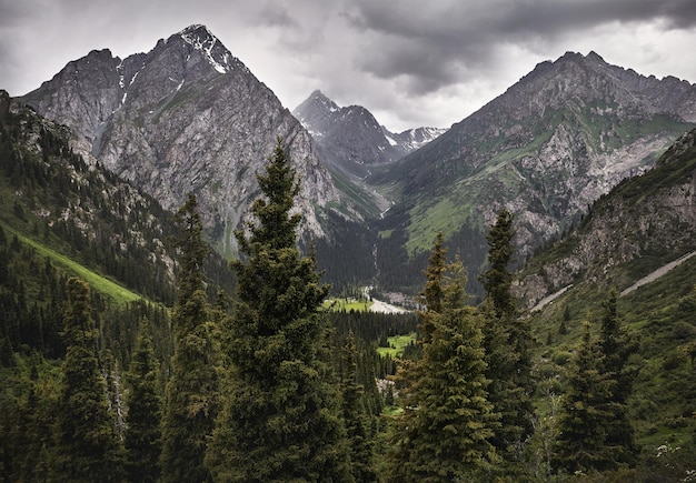 Paisaje del valle de la montaña