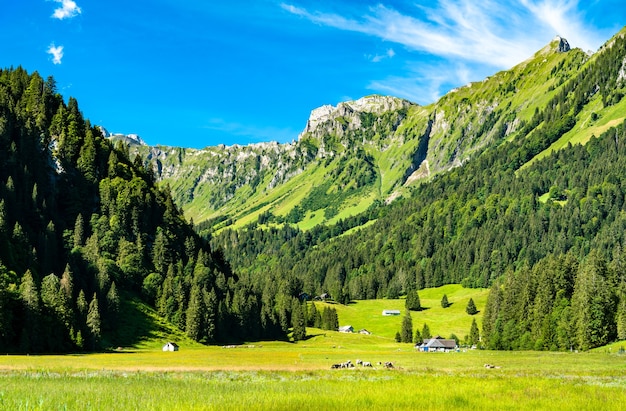 Paisaje del valle de Obersee en el cantón de Glaris, Suiza