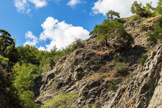 Paisaje de un valle rocoso durante las vacaciones de verano