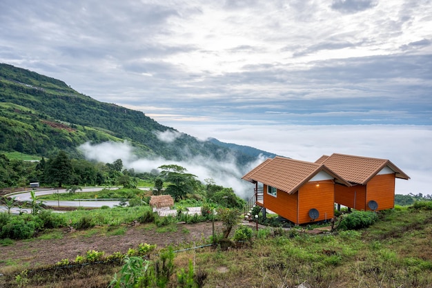 Paisaje del valle verde del punto de vista de la niebla de la mañana en la montaña en Phu Thap Berk en Tailandia