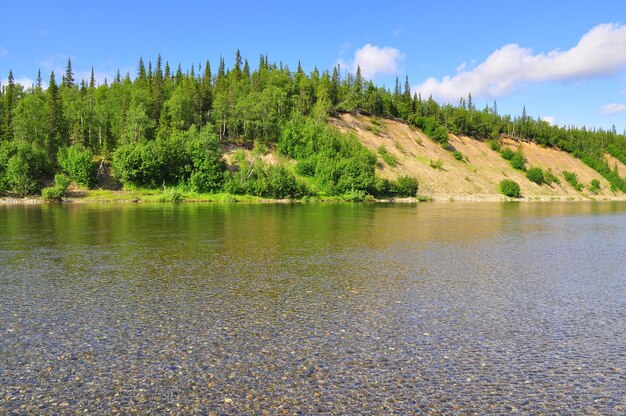 Paisaje de verano al norte del río.