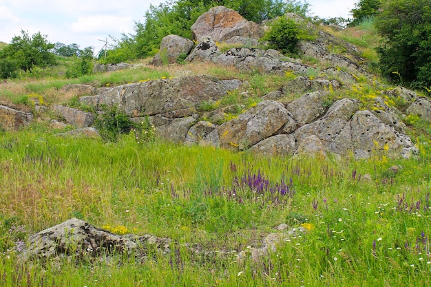 Paisaje de verano con árboles, colinas y rocas.