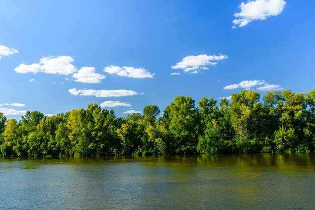 Paisaje de verano con árboles verdes y río.