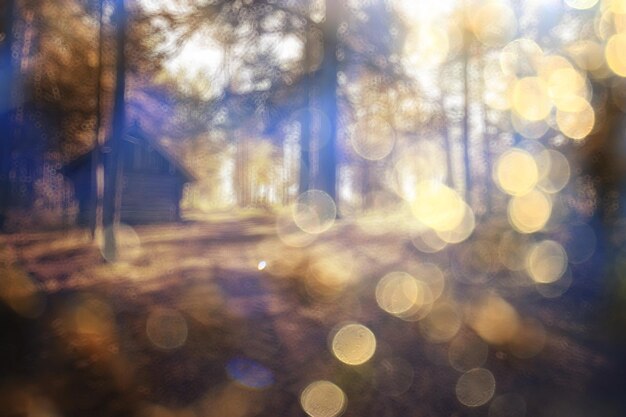 paisaje de verano bosque resplandor sol bokeh fondo borroso, vista abstracta de árboles