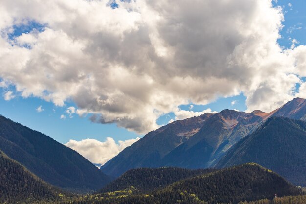 Paisaje de verano de carretera de cordillera