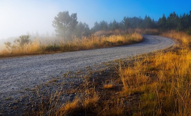 Paisaje de verano con carretera