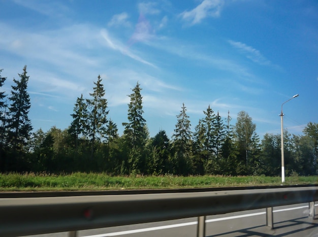 Paisaje de verano en la carretera